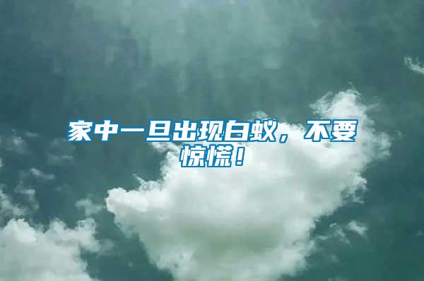 家中一旦出現(xiàn)白蟻，不要驚慌！