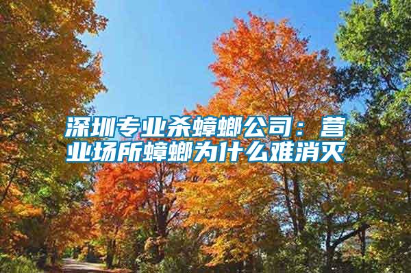 深圳專業(yè)殺蟑螂公司：營業(yè)場(chǎng)所蟑螂為什么難消滅