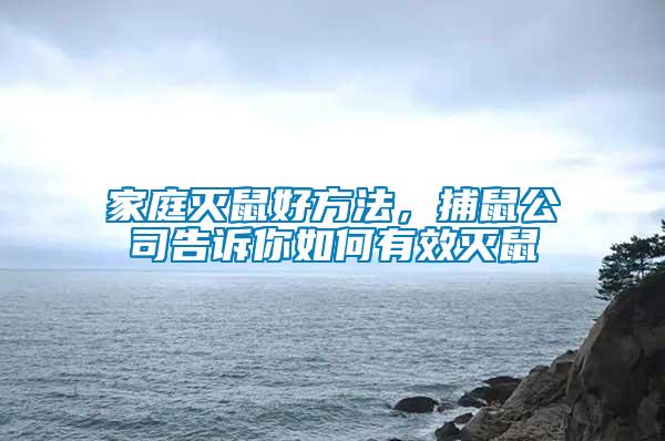 家庭滅鼠好方法，捕鼠公司告訴你如何有效滅鼠