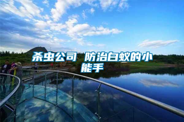 殺蟲(chóng)公司 防治白蟻的小能手
