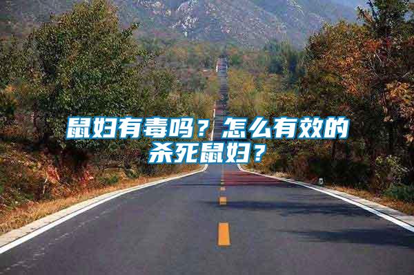 鼠婦有毒嗎？怎么有效的殺死鼠婦？