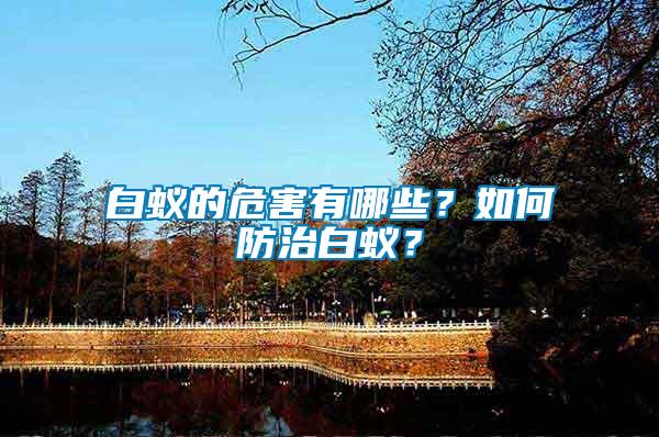 白蟻的危害有哪些？如何防治白蟻？
