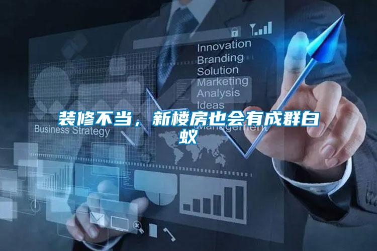 裝修不當(dāng)，新樓房也會有成群白蟻