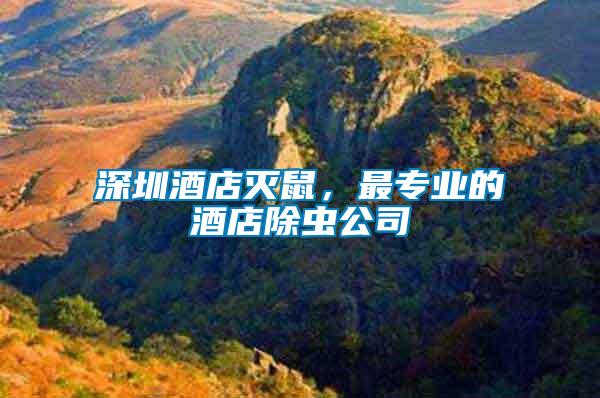 深圳酒店滅鼠，最專業(yè)的酒店除蟲公司