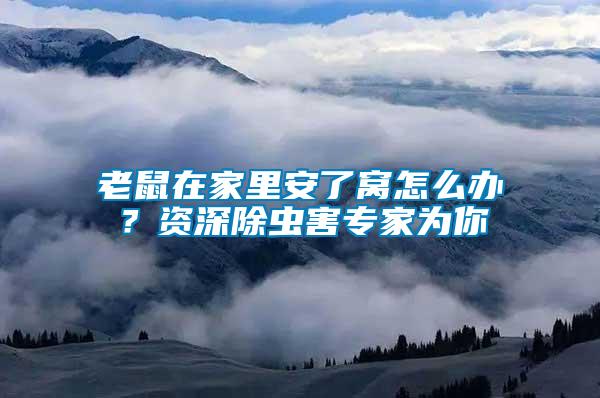 老鼠在家里安了窩怎么辦？資深除蟲害專家為你