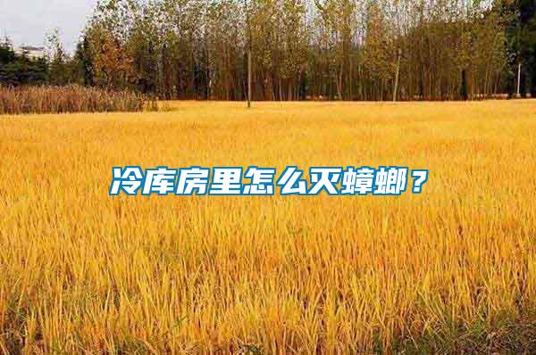 冷庫房里怎么滅蟑螂？