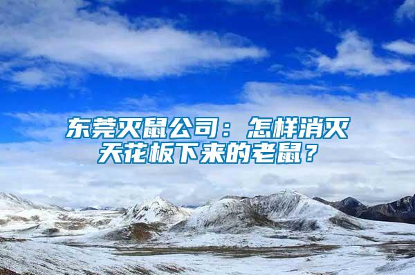 東莞滅鼠公司：怎樣消滅天花板下來的老鼠？