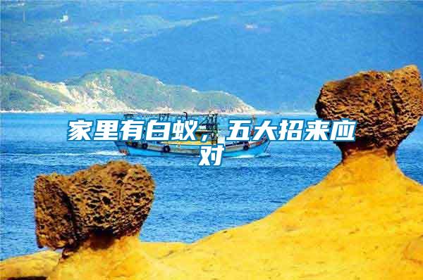 家里有白蟻，五大招來應(yīng)對