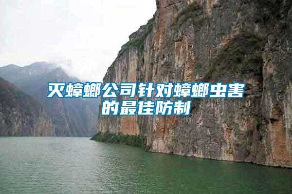 滅蟑螂公司針對(duì)蟑螂蟲害的最佳防制