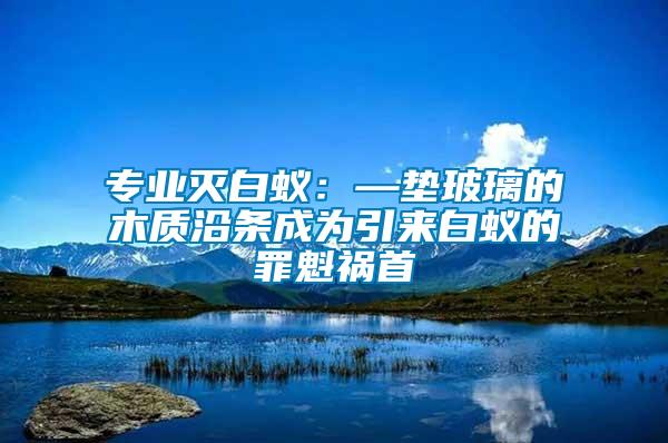 專業(yè)滅白蟻：—墊玻璃的木質沿條成為引來白蟻的罪魁禍首