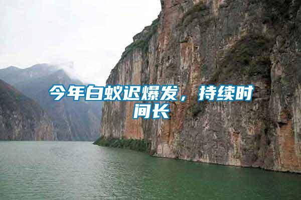 今年白蟻遲爆發(fā)，持續(xù)時間長