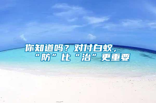 你知道嗎？對付白蟻，“防”比“治”更重要