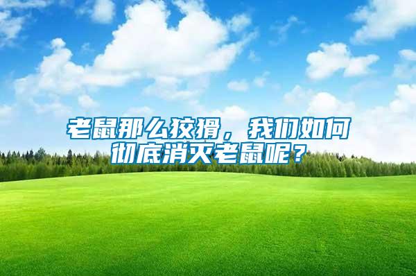 老鼠那么狡猾，我們?nèi)绾螐氐紫麥缋鲜竽兀?/></p>
             <p style=
