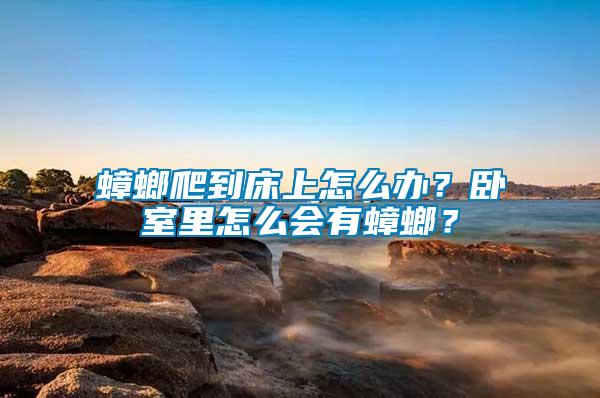 蟑螂爬到床上怎么辦？臥室里怎么會有蟑螂？