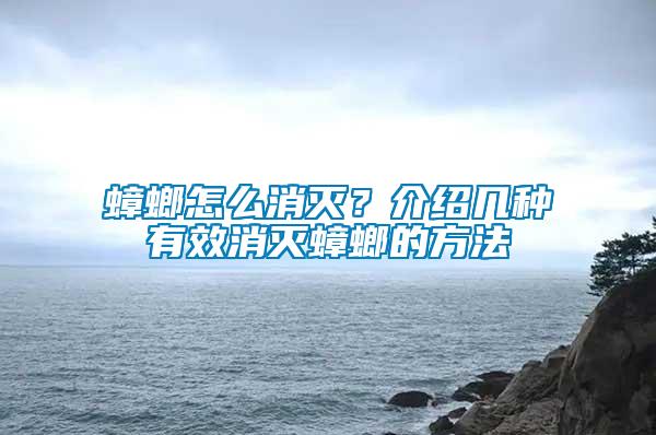 蟑螂怎么消滅？介紹幾種有效消滅蟑螂的方法