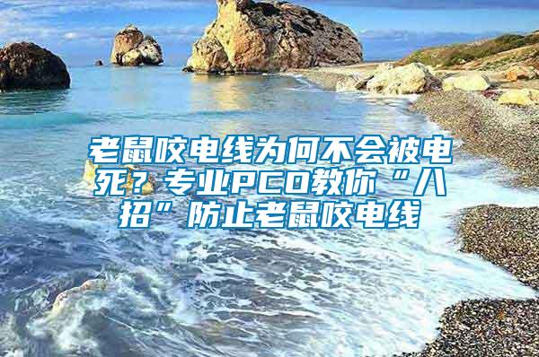 老鼠咬電線為何不會(huì)被電死？專(zhuān)業(yè)PCO教你“八招”防止老鼠咬電線