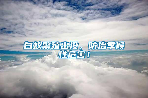 白蟻繁殖出沒，防治季候性危害！