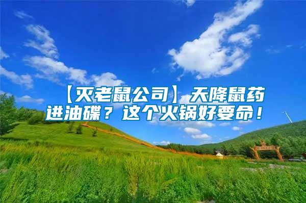 【滅老鼠公司】天降鼠藥進(jìn)油碟？這個火鍋好要命！