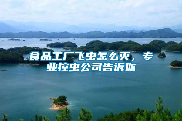 食品工廠飛蟲怎么滅，專業(yè)控蟲公司告訴你