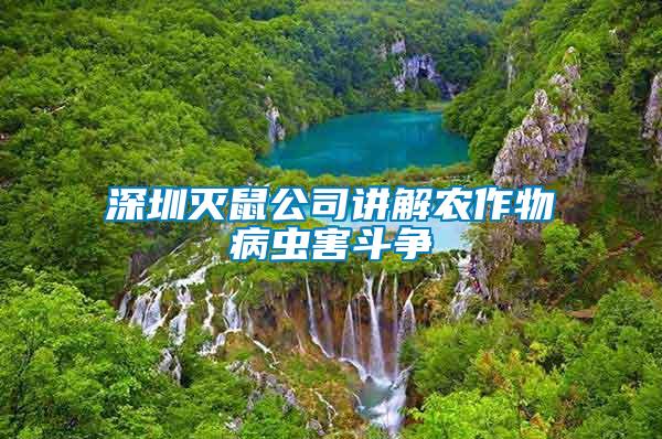 深圳滅鼠公司講解農(nóng)作物病蟲害斗爭(zhēng)