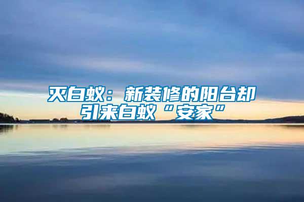 滅白蟻：新裝修的陽臺(tái)卻引來白蟻“安家”