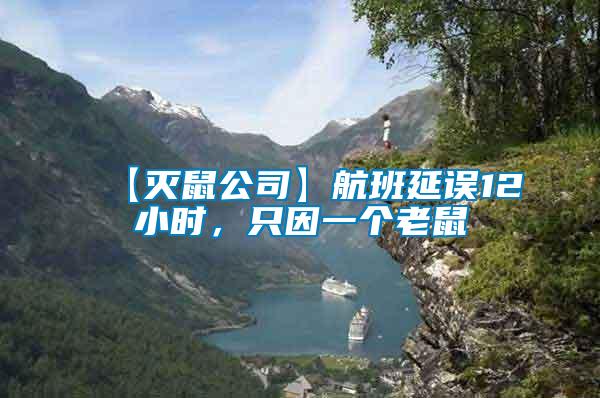 【滅鼠公司】航班延誤12小時(shí)，只因一個(gè)老鼠