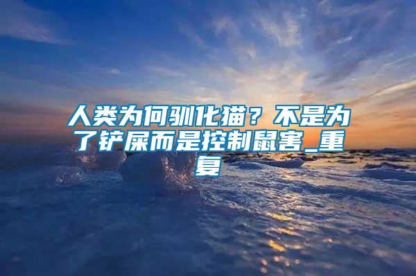 人類為何馴化貓？不是為了鏟屎而是控制鼠害_重復
