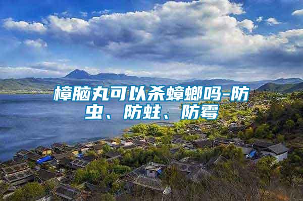樟腦丸可以殺蟑螂嗎-防蟲、防蛀、防霉