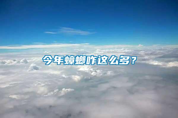 今年蟑螂咋這么多？