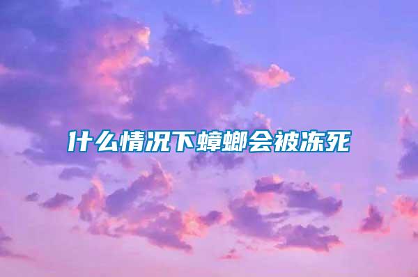 什么情況下蟑螂會被凍死