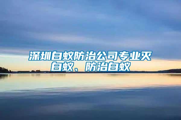 深圳白蟻防治公司專業(yè)滅白蟻、防治白蟻