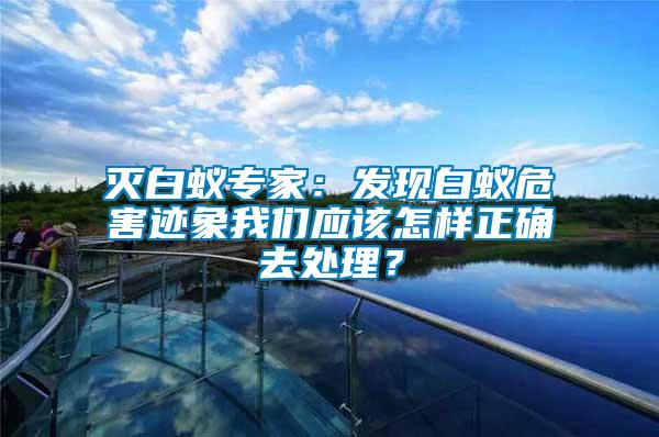 滅白蟻專家：發(fā)現(xiàn)白蟻危害跡象我們應(yīng)該怎樣正確去處理？