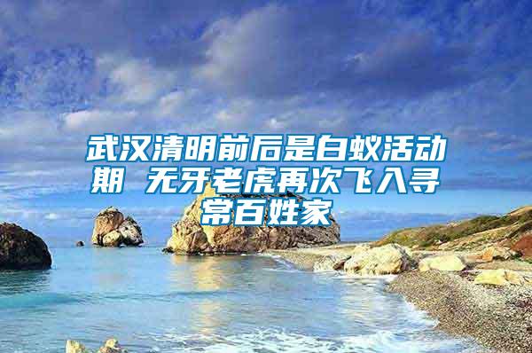武漢清明前后是白蟻活動(dòng)期 無(wú)牙老虎再次飛入尋常百姓家