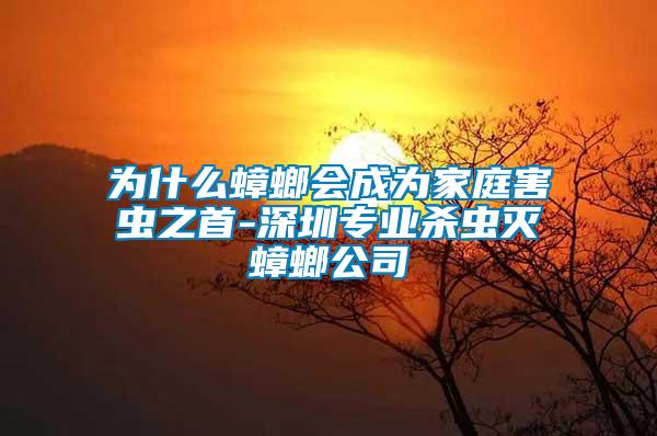 為什么蟑螂會(huì)成為家庭害蟲(chóng)之首-深圳專業(yè)殺蟲(chóng)滅蟑螂公司