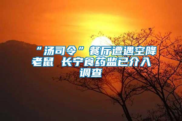 “湯司令”餐廳遭遇空降老鼠 長(zhǎng)寧食藥監(jiān)已介入調(diào)查
