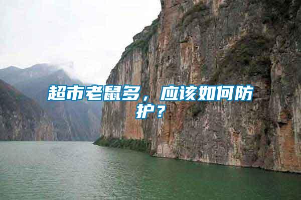 超市老鼠多，應(yīng)該如何防護？