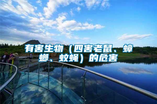 有害生物（四害老鼠、蟑螂、蚊蠅）的危害