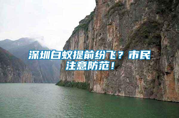 深圳白蟻提前紛飛？市民注意防范！