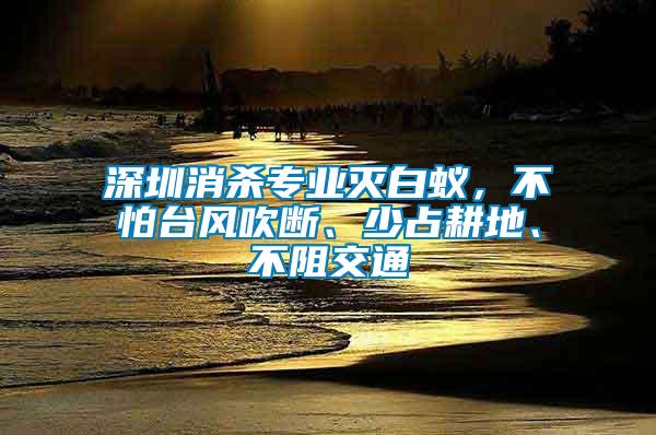 深圳消殺專業(yè)滅白蟻，不怕臺(tái)風(fēng)吹斷、少占耕地、不阻交通
