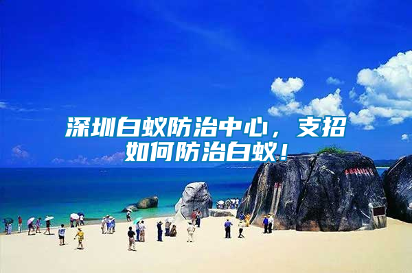 深圳白蟻防治中心，支招如何防治白蟻！