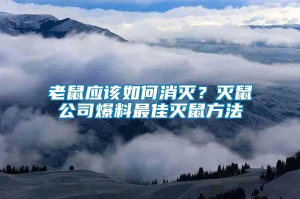老鼠應(yīng)該如何消滅？滅鼠公司爆料最佳滅鼠方法