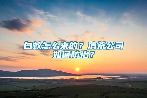 白蟻怎么來(lái)的？消殺公司如何防治？