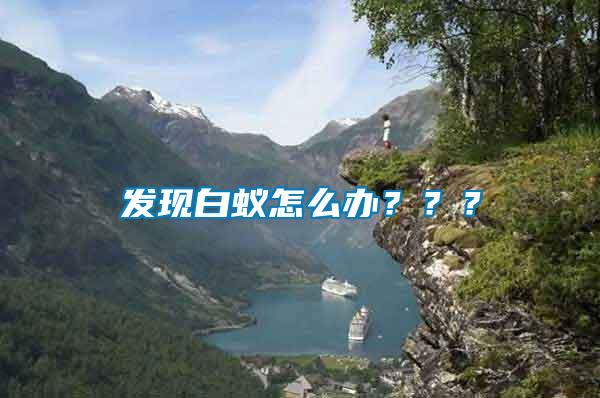 發(fā)現(xiàn)白蟻怎么辦？？？