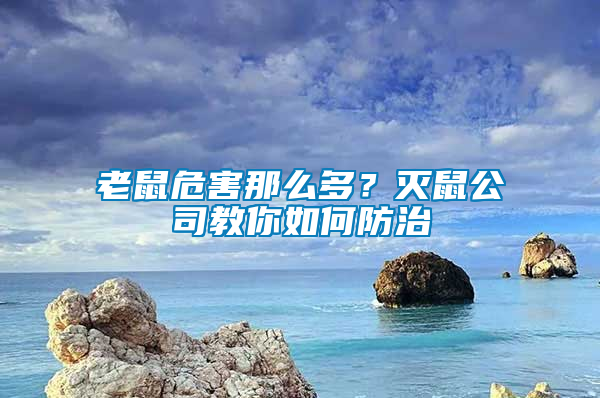 老鼠危害那么多？滅鼠公司教你如何防治