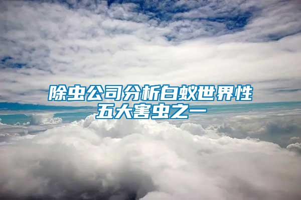 除蟲(chóng)公司分析白蟻世界性五大害蟲(chóng)之一