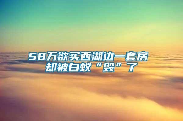 58萬(wàn)欲買西湖邊一套房 卻被白蟻“毀”了