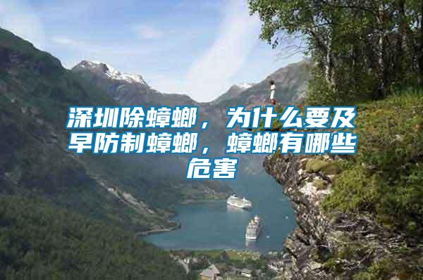 深圳除蟑螂，為什么要及早防制蟑螂，蟑螂有哪些危害