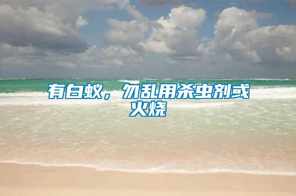 有白蟻，勿亂用殺蟲劑或火燒