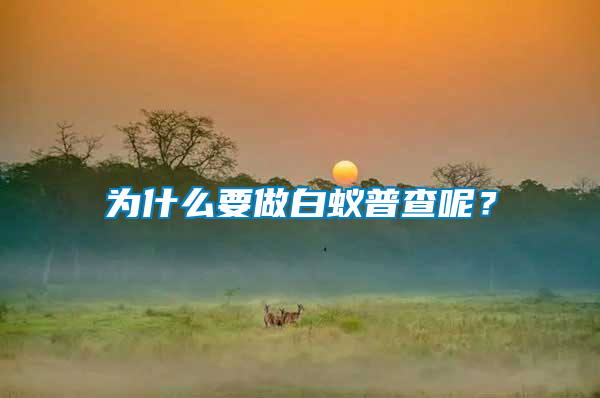 為什么要做白蟻普查呢？