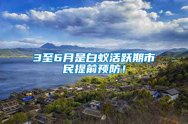 3至6月是白蟻活躍期市民提前預(yù)防！